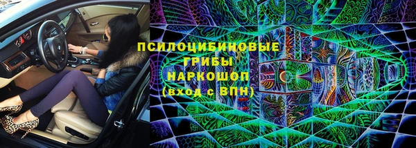 стаф Алексеевка