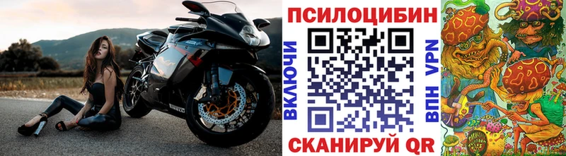 наркотики  Нальчик  Псилоцибиновые грибы мухоморы 